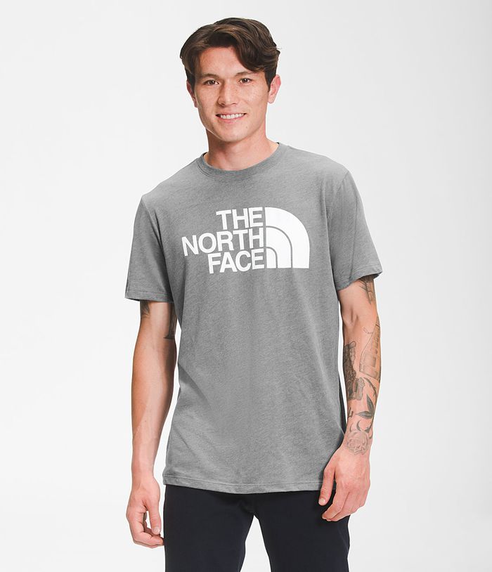 Camiseta The North Face Hombre Gris Manga Corta Half Dome 71285MXPN